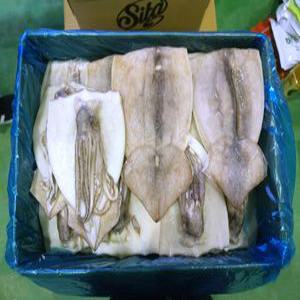 할복오징어 활복 냉동손질오징어 선동 활복 4kg 20-24미 무탈피