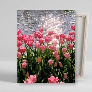 아이러브페인팅 DIY캔버스형 그림그리기 40x50cm 호수와 튤립