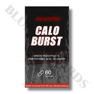 프로뉴트리션 칼로버스트 400mg x 60정 15일분
