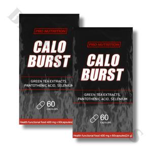 프로뉴트리션 칼로버스트 400mg x 60정 2박스 1개월분