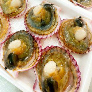 통영 제철 홍가리비하프셀 3팩(총18미)