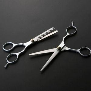 티타늄시저블레이드 일반미용가위1+미용숱가위1 2PCS 정원 잡초 안전용품 원예공구 벌초도구 선물용