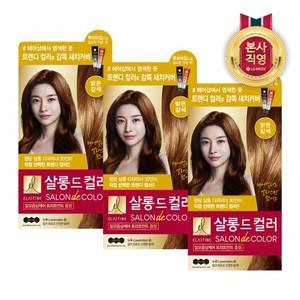 엘라스틴 살롱드컬러 염색약 밝은갈색 100g x 3개