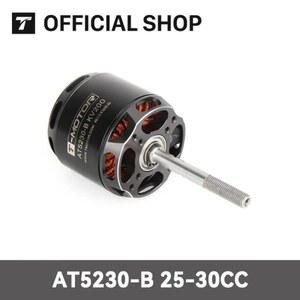 T 모터 At5230 B RC Fpv KV200 고정익 Motor xt60