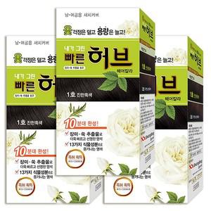 식물성 순한 새치 광동 염색약 1호 진한흑색 3팩