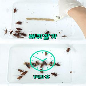 바퀴벌레약 바퀴벌레퇴치법 짜서쓰는 시그마포스겔 멕스포겔