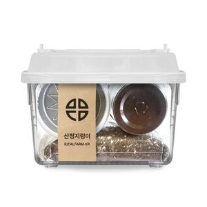 (무료배송+국내산) 산청지렁이 관찰 키트/자연과학/교과서/땅속생물/초등과