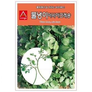 1g 종자 물냉이씨앗 허브씨앗 아시아크레숑