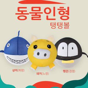 어리둥절 펭귄공 상어공 돼지공 동물 탱탱볼 어린이집 공놀이 유치원 학원