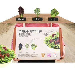 홈가드닝 상추텃밭 상자 배양토세트실내 베란다 화분 기르기 키우기 식물