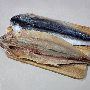 제주도 손질 삼치 1미 자연산