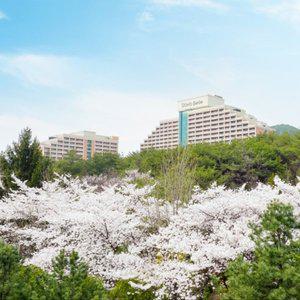 [예약구매]소노벨단양 1박+조식+오션+히어로즈+바우처1만+13시L/C 2+1인 PKG