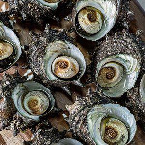 T_[오늘의바다] 오독오독 손질 뿔소라 400g (손질전 2kg)