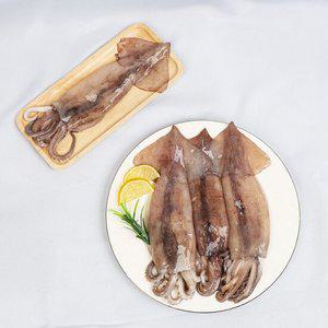 [더조은] 원양산 냉동 손질 통오징어 (팩당 350g 내외) 2미 x 5팩