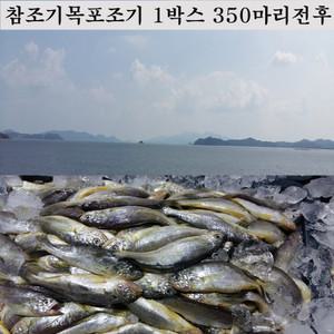 참조기 조기 1박스 350마리전후13kg 목포조기