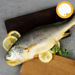 부세 조기 3.4kg (500/700) 5-6마리 제수용 제사용 생선구이