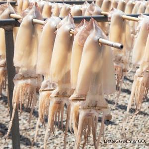 동구리마켓 [청정바다] 원양산 반건조 오징어 5마리 250g 건어물 국내산오징어