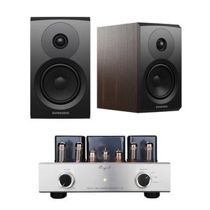 케인(Cayin) MT-12N + 다인오디오 New Emit 10 진공관