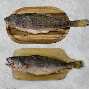 국내산 반건조 수조기 제수용 생선 조기