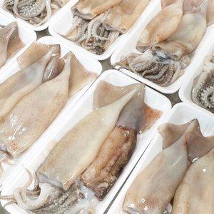 깔끔하게 손질된 손질통오징어 500g (2미)