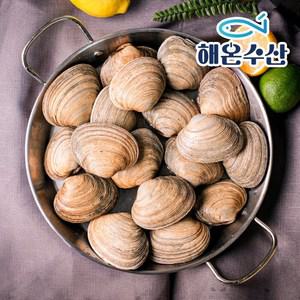 [해온수산] 자연산 대합 개조개 5-8미 1kg