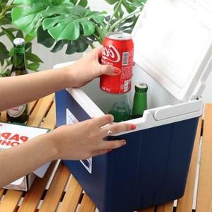 휴대용 야외 캠핑 피크닉 낚시 여행 아이스박스 10L