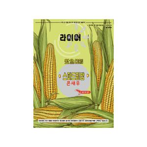 [09피싱]라이어 스피드밑밥 콘새우 옥수수 집어제 떡밥 민물낚시 붕어