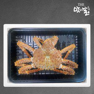 항공직송 활 브라운 킹크랩 1.6kg