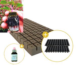 삽목용 오아시스104구+50구트레이2장+발근력20ml/다육이 선인장 야생화 분갈이 수국삽목 플로랄폼 지피펠렛