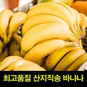 고씨네 특급 바나나 13kg 바나나주스 바나나판매 과일