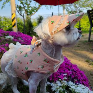 개달당 산수유 벨크로 강아지 하네스 + 선캡 SET
