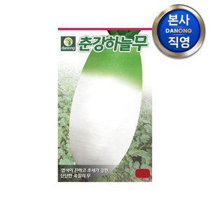[다농]춘강 하늘무 씨앗 5g , 야채 채소 무우 봄 파종 김장 텃밭 재배 씨 종자,