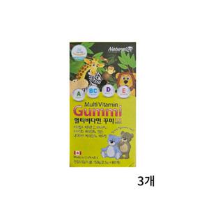 네추럴라이즈 멀티비타민 꾸미 60정 3개