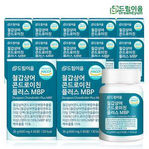 드림이음 철갑상어 콘드로이친 플러스 MBP 12개월분
