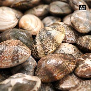 참다른 당일손질 바지락 1kg x 2팩 (총 2kg)