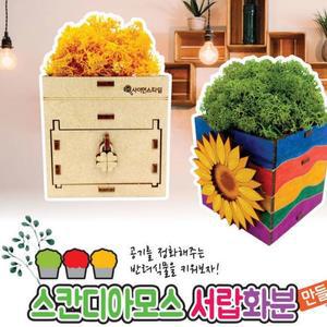 [XBG77404_47]스칸디아모스 서랍화분 만들기 탄소중립 노랑