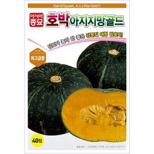 아시아종묘 씨앗 단호박 아지지망골드 2000립