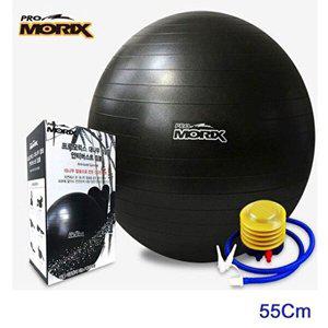 [베프몰]프로모릭스 CRDQAEZC 대나무 참숯 안티버스트 짐볼 55Cm 요가