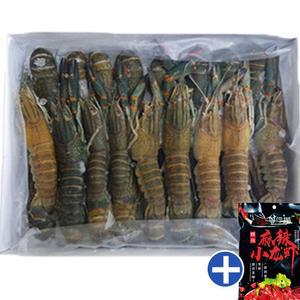 마라롱샤 냉동민물가재 1KG 25미이상 마라소스포함
