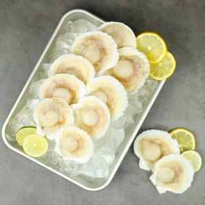 반가리비 1.8kg 비단가리비 반탈각 7/8미 180g*10팩