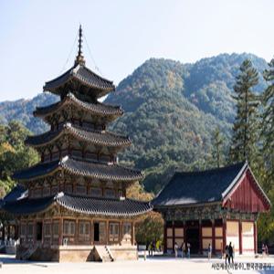 [당일][보은괴산] 숲속 옛길따라 즐기는 힐링타임 / 법주사+세조길+말티재전망대+산막이옛길 국내 추천 가족 주말 당일 힐링