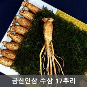 금산 인삼 복날 수삼 선물세트 17뿌리 금색보자기포함