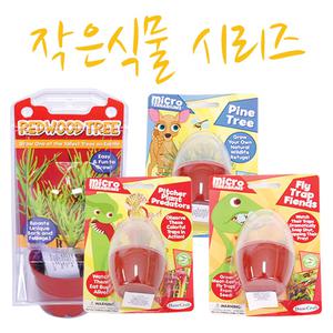 파리지옥 식충식물 삼나무 소나무 희귀식물 기르기 세트