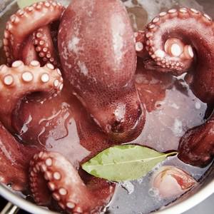 [당일어획] 남해안 자연산 돌문어 2kg (4-8미)