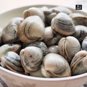 참다른 당일손질 동죽(물총조개) 1kg