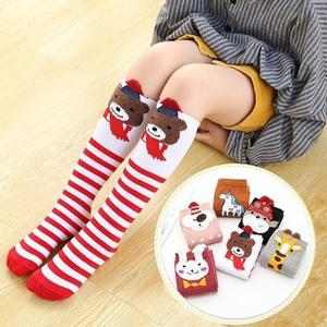 준캡 유아 키즈 어린이 아동양말 보송애니멀 반스타킹 삭스