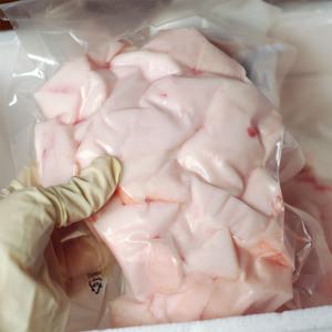 (냉동)퀸미트 돼지비계 500gx2팩(총1kg) A지방 돈지 / 깍둑썰기