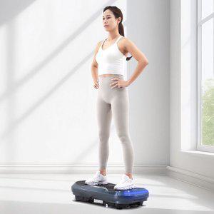 갤러리아 바디슬리머 1810VW 덜덜이 진동운동기구