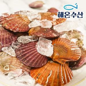 [해온수산] 국내산 홍가리비 50미내외 2kg
