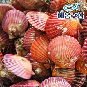 [해온수산] 국내산 홍가리비 20미내외 1kg